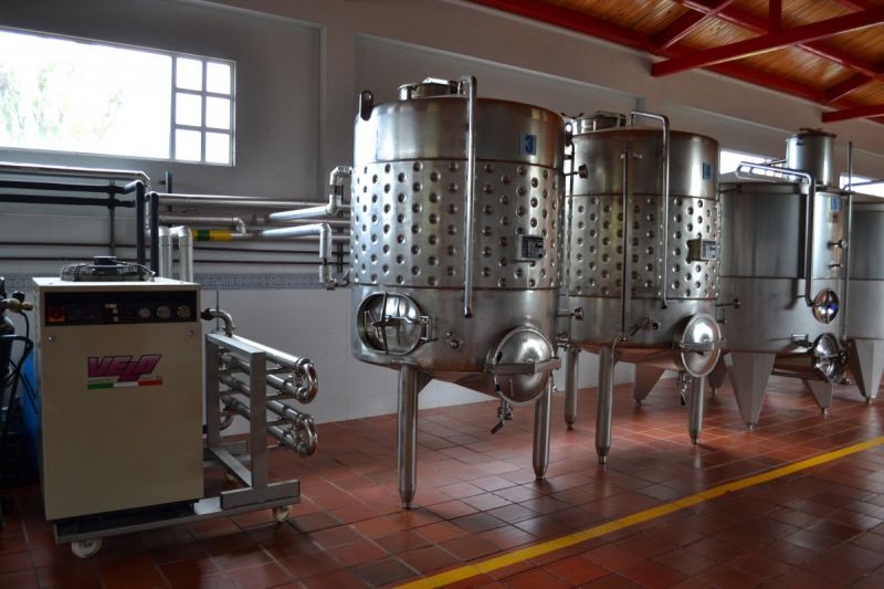 cave-MALAUSSENE-min_wine_production_cantine_winery_drink_alcohol_vine_beverage-902036